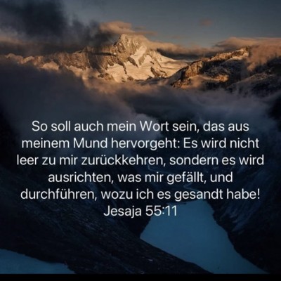 nicht leer zurück.jpg