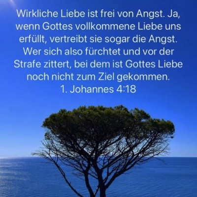 Liebe keine angst.jpg