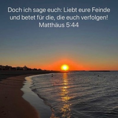 feine lieben.jpg